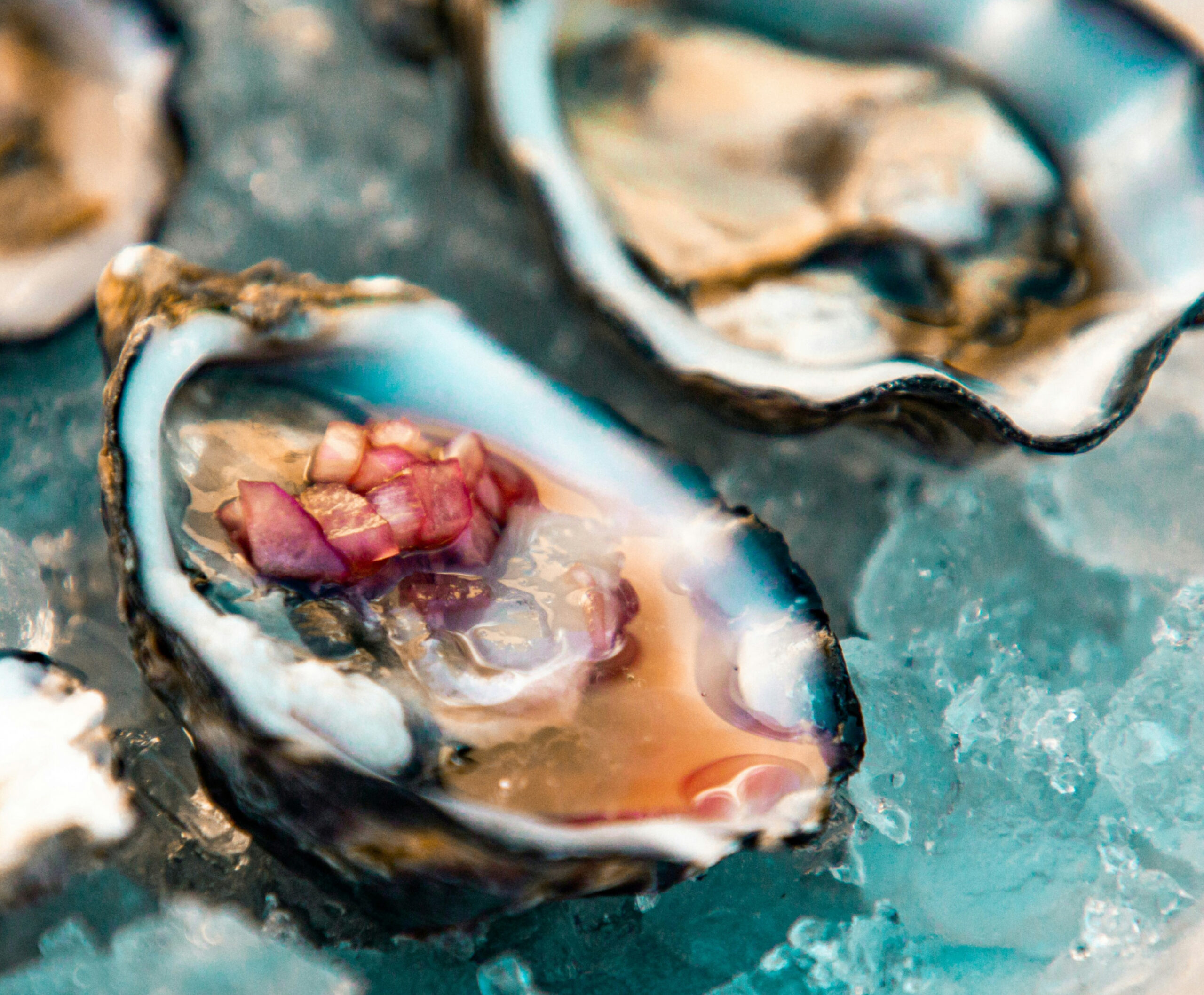 Close up of shucked oyster on ice with garnish
