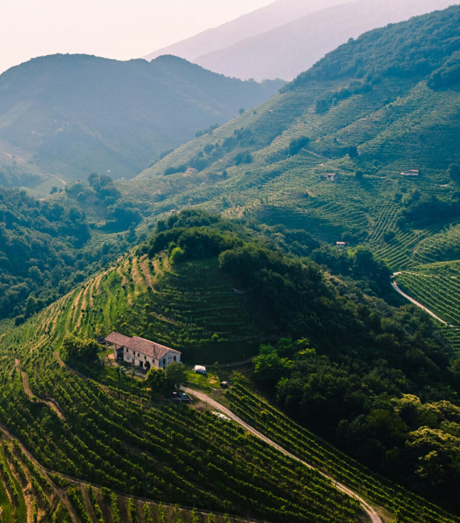 View of Veneto landscape with farmhouse and terraced vineyards and hills in the background